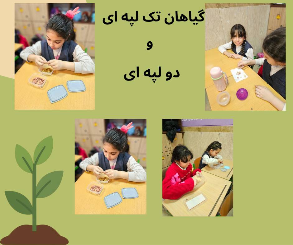 زنگ کاربردی و عملی علوم پایه سوم 29 بهمن 1404