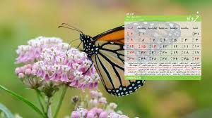 تقویم اجرایی خرداد1404