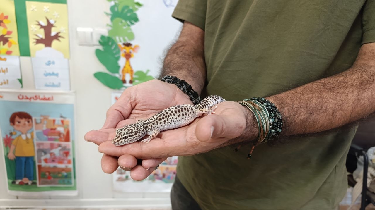 برگزاری کلاس جانورشناسی با جناب آقای علیرضا شهرداری