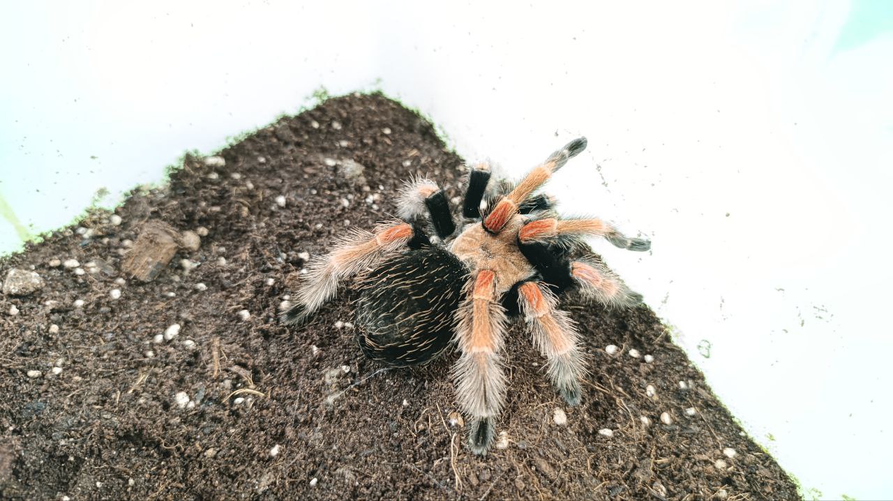 کلاس جانورشناسی با حضور جناب آقای علیرضا شهرداری