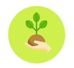 اهدای پک های کاشت درخت (مربوط به درس سواد مالی)